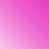 Rose fuchsia est en rupture de stock