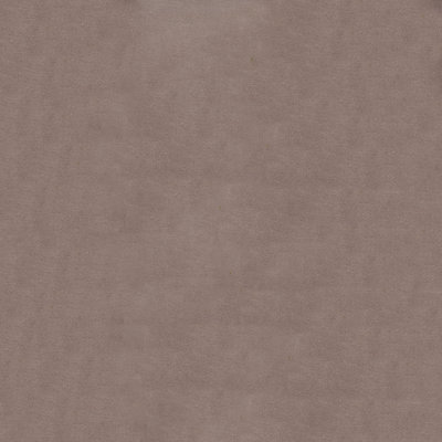Abbeyshea Benjamin Velvet Fabric By The Yard