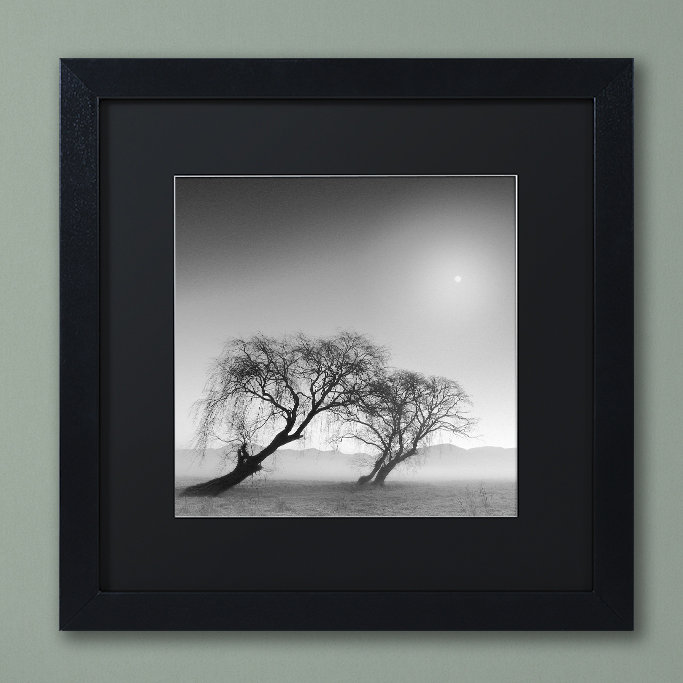 «Reverencia» par Moises Levy - reproduction de photo sur toile encadrée, H 11 po x l 14 po x P 0,5 po, Noir