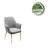 Odetta 18.32'' H Velvet Upholstered Armchair-2088645278