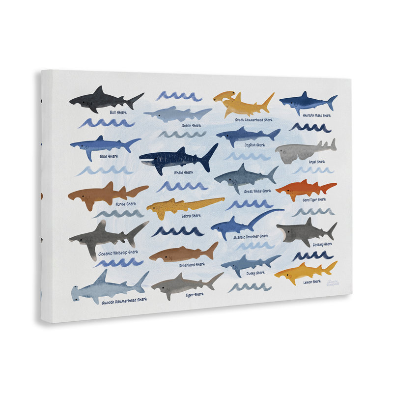 Art mural sur toile, "Divers requins" par Carrie Cantwell, H 16 po x l 24 po