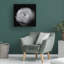 Lotte Gronkjar  Ranunculus Canvas Art-2102482910