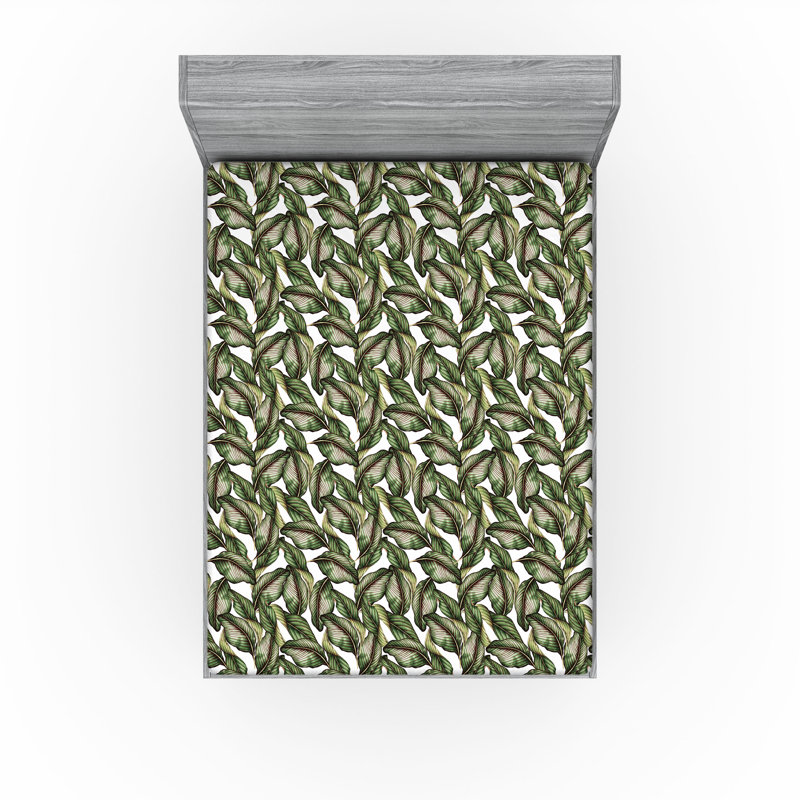 Drap-housse imprimé feuilles Ambesonne Feuilles exotiques vert phoque brun et blanc, Drap-housse grand