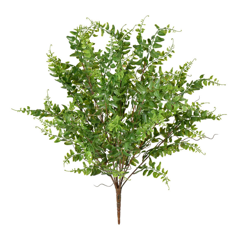 Fern Arrangement