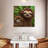 Brampt Sloth All Smiles-109358045