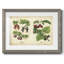 Cuisine fruits III-285017808-285017811