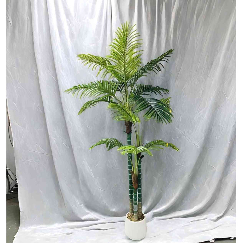 Multiple Palm Trees Used For Home Decoration, 70.87" H x 23.62" W x 23.62" D