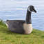 Goose Plastic Garden Statue