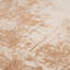 Carpet Noli Beige 200 X 300 Cm-379172436