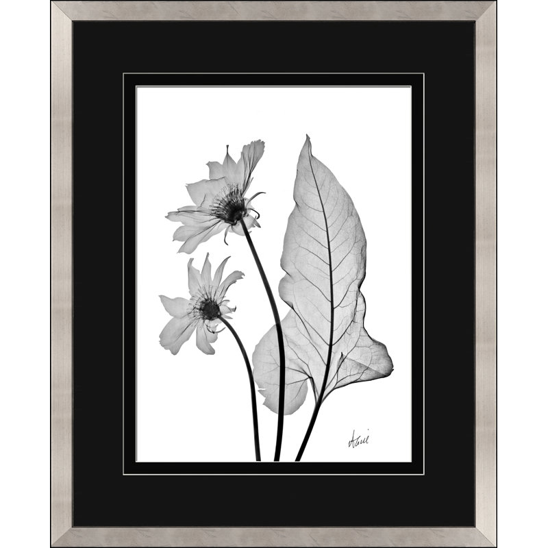 Feuille de flèche - peinture encadrée sur papier