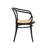 Diane Solid Wood Bistro Arm Chair-1755442541