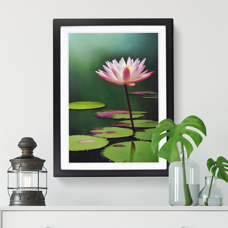 Water Lily Flower Pond - Single Picture Frame Print, 46cm H x 34cm W x 2cm D, Walnut