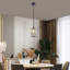 Luminaire suspendu 1 lumière