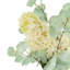 Hydrangeas and Eucalyptus Arranged in Ceramic Vase