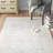 Alpine Performance Oriental Rug-1524710623