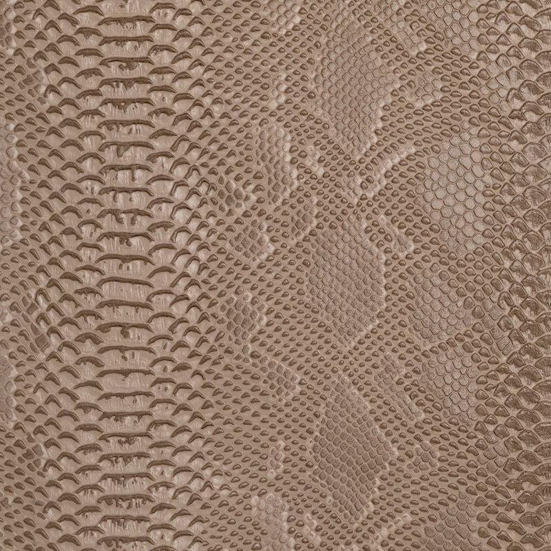 Amazon Fabric, Cafe