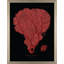 Flabellum On Black II Print
