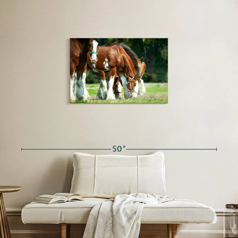 Brampt Clydesdale Horses, H 20 po x l 30 po