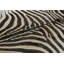 Modern Area Rug