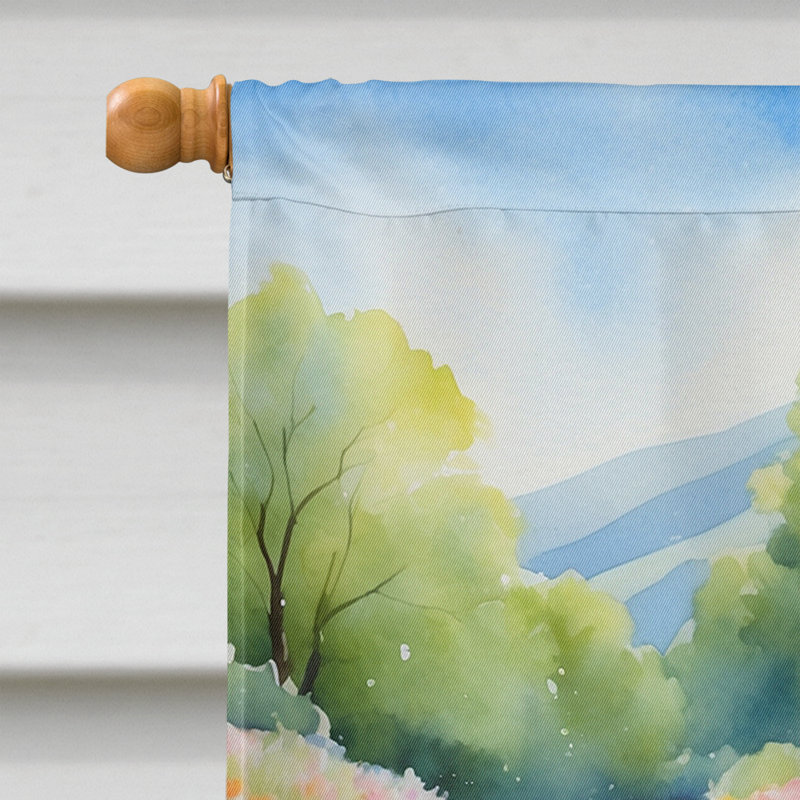Tarak Double Sided 40'' H x 28'' W Polyester House Flag