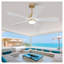 52 Inch Modern Ceiling Fan with Lights and Remote Control - Solid Wood Blades, Dimmable LED, Reversible DC Motor for Bedroom Living Room