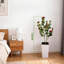 Plant-1461763213