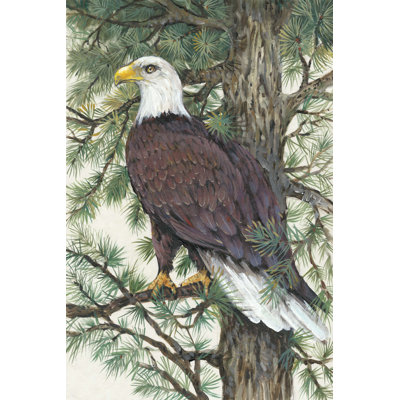 Aigle dans le pin