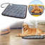 Lit pour animaux Ellanah