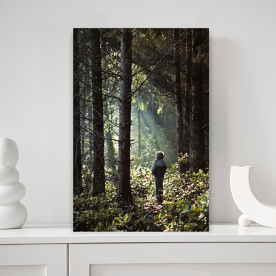 1980S Young Girl In Forest Looking At Sunlight Streaming Through Trees Classic Retro Vintage Forest Nature Wall Art