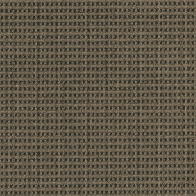 24'' W x 24'' L Level Loop Peel & Stick Polyester Carpet Tile