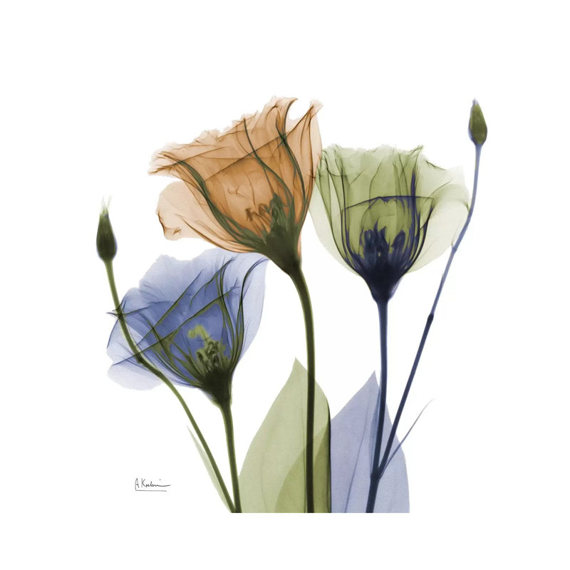 Gentian Buddies by Albert Koetsier - Wrapped Canvas Painting, 45.72 cm H x 45.72 cm W x 3.175 cm D