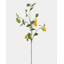 Faux Lemon Branch