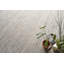 Kashmir Area Rug in Light Taupe-67462435