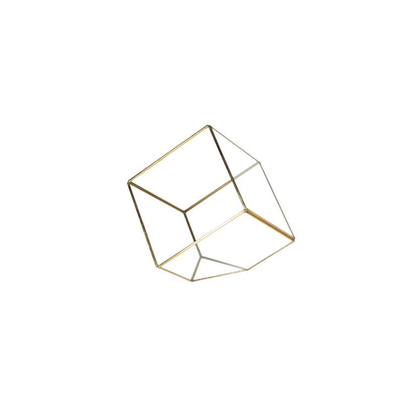 Terrarium en verre Raekwon Heptahedron, H 8,5 po x l 8,5 po x P 8,5 po, Doré