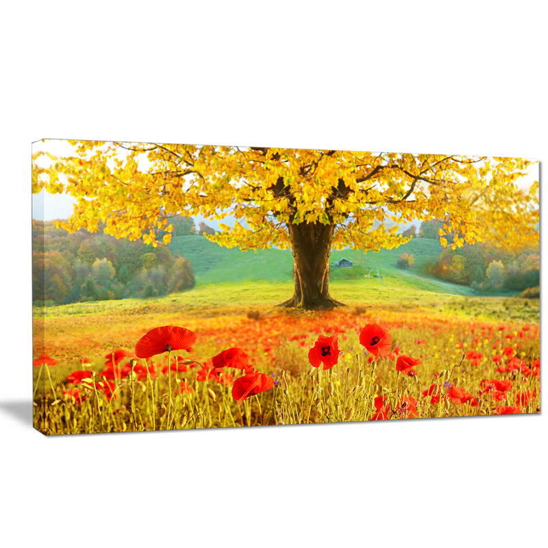 «Beautiful Autumn Yellow Tree», reproduction de photo sur toile tendue, H 36 po x l 46 po x P 1,5 po, Toile tendue