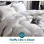  Édredon en duvet toutes saisons / housse de couette en duvet-407478914