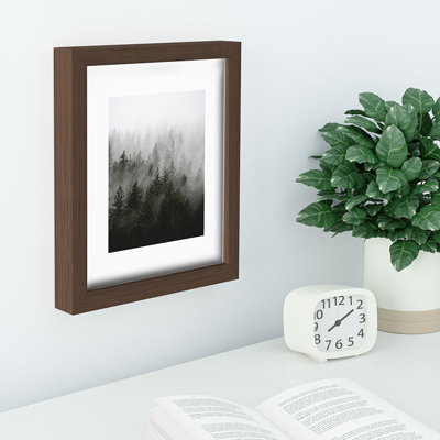 Loon Peak® Foggy Fir Forest