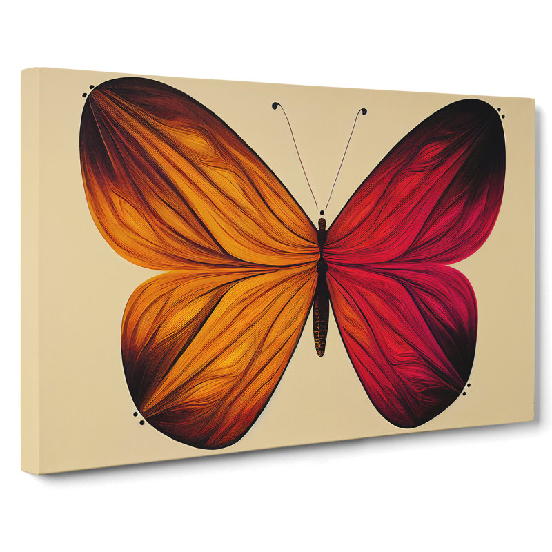 Magical Butterfly - Wrapped Canvas, 50cm H x 76cm W x 3cm D