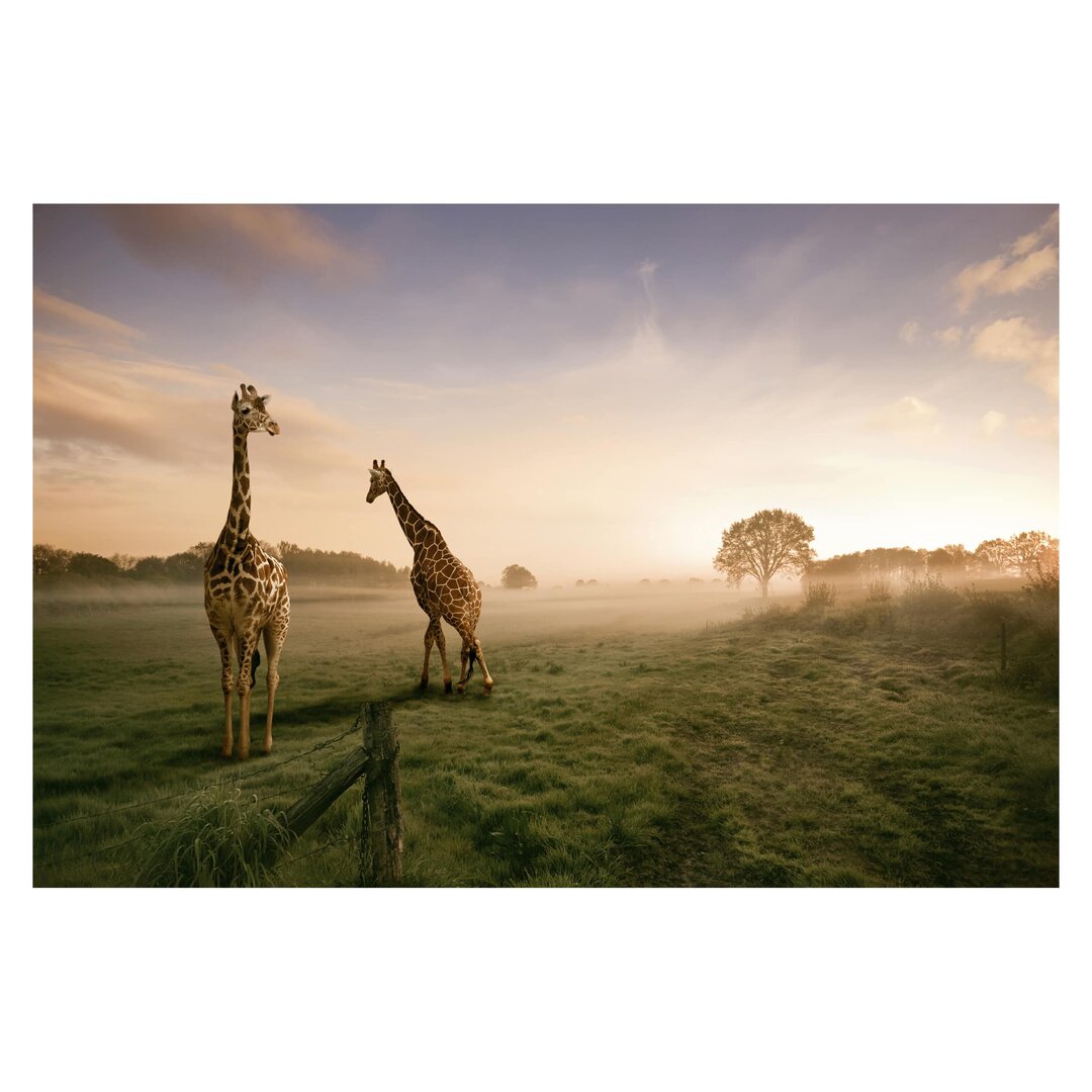 Strukturierte Fototapete Surreal Giraffes 1,9 m x 288 cm