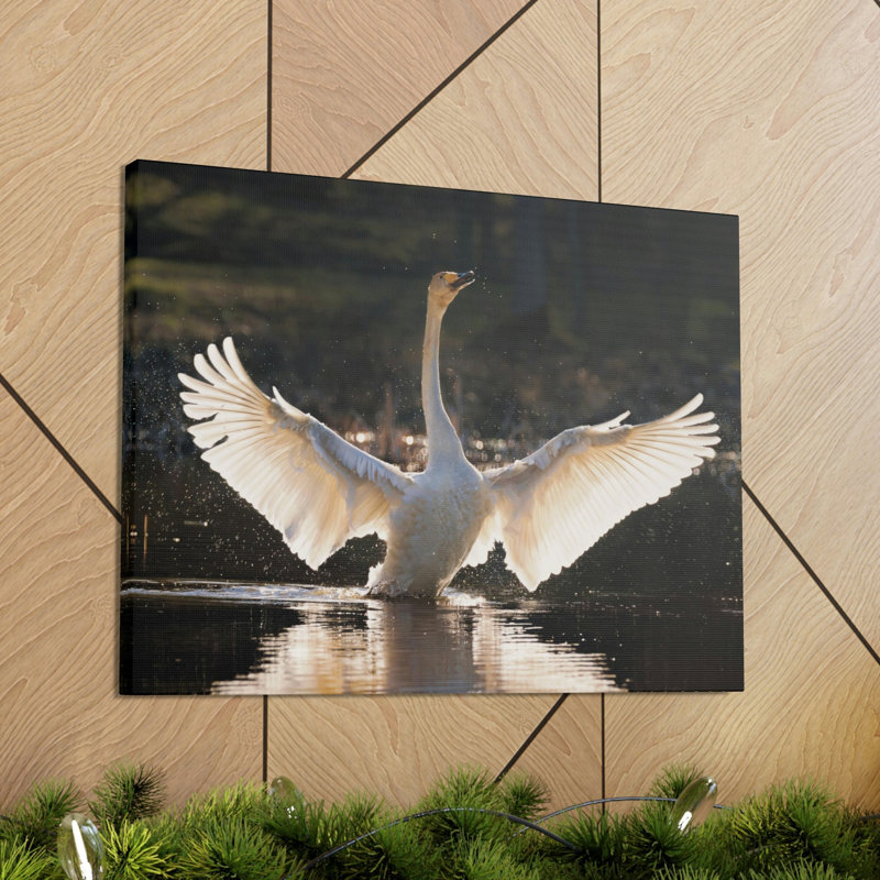 No Frame Print on Canvas, 27.94cm H x 35.56cm W