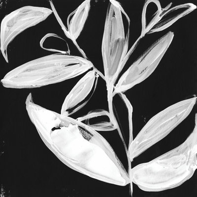 Feuilles blanches excentriques I