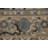 Ziegler Wool Oriental Indoor Rug