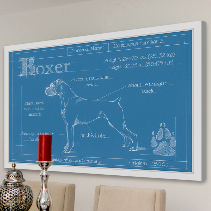 Art mural sur toile Trinx «Blueprint Boxer» par Ethan Harper, H 16 po x l 24 po x P 1,5 po, Papier avec cadre blanc