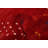 Indo Gabbeh Red Rug 7'10" x 9'10"