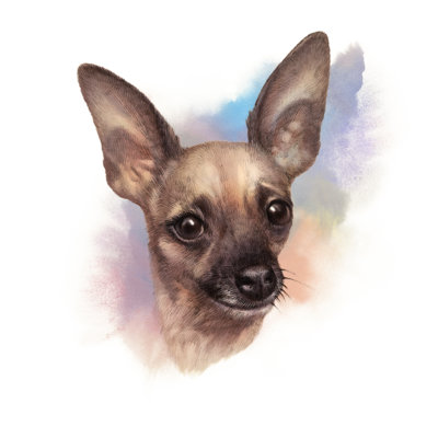 The Chihuahua Dog by TanyaZima - Wrapped Canvas Print