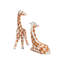 Giraffes