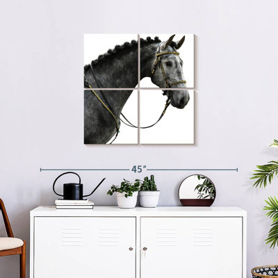 Cheval espagnol gris Brampt