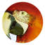 Olhar O Brasil Porcelain China Charger
