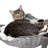 73'' H Cat Tree-99340919