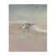 Sandpiper at Shore's Edge Canvas Wall Art, design by Danhui Nai-128035723